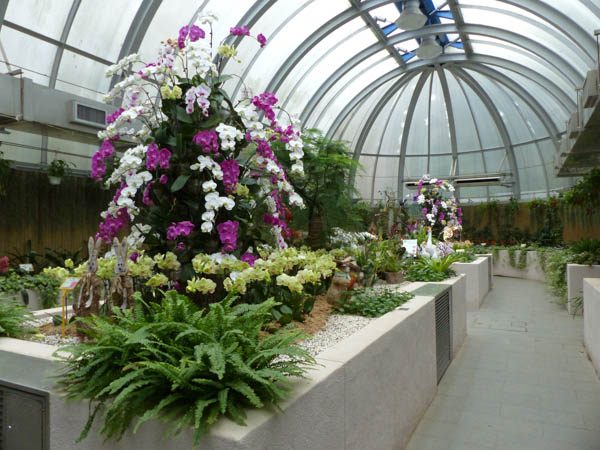 Hong Kong Zoological and Botanical Gardens