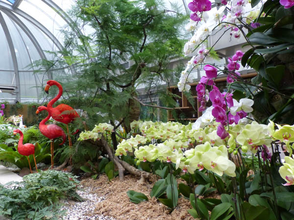 Hong Kong Zoological and Botanical Gardens