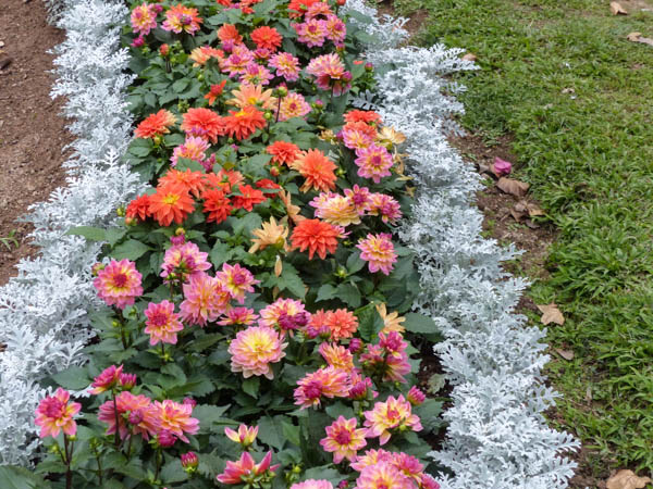 Hong Kong Zoological and Botanical Gardens