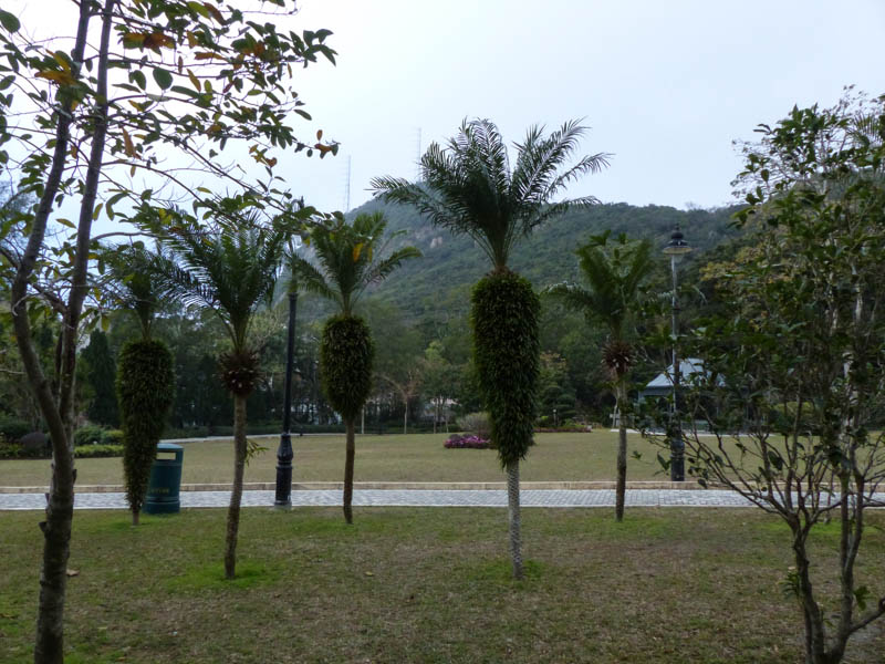 Hong Kong Victoria Peak Garden