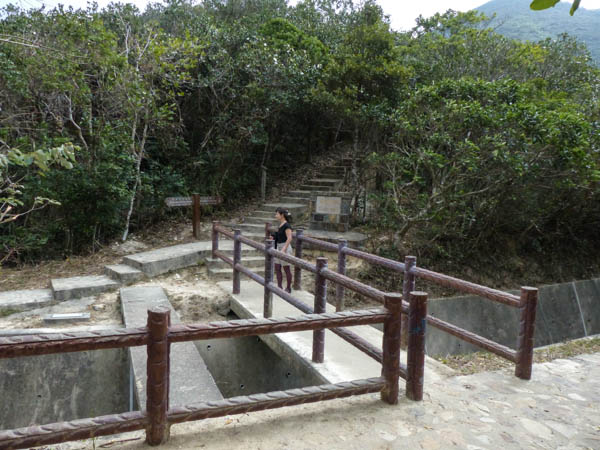 Hong Kong Violett Hill