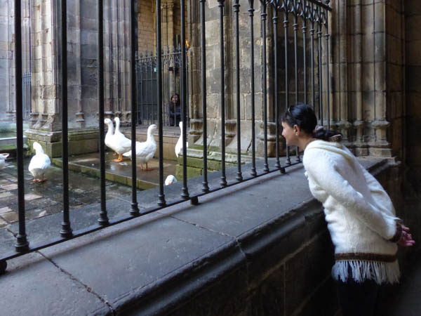 Barcelona La Catedral G&auml;nse
