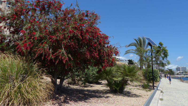 Ibiza Cala d�en Bossa