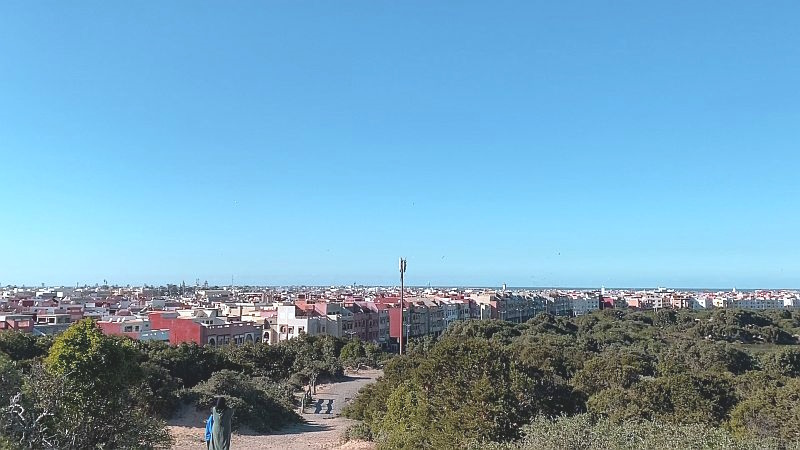 Gr&uuml;ng&uuml;rtel Essaouira