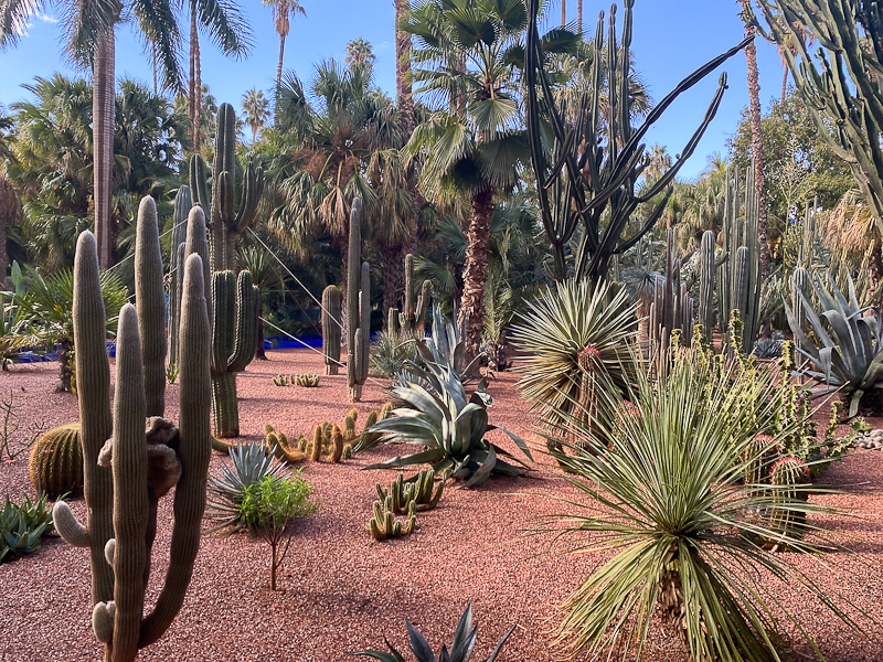 Majorelle G&auml;rten Marrakesch