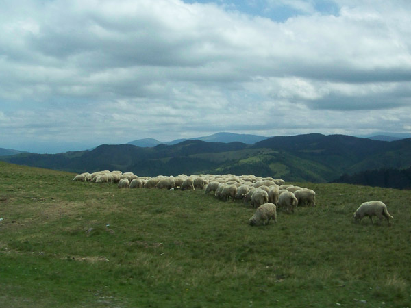 rum&auml;nischen Karpaten