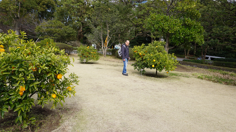 Tokyo Ostgarten des Kaiserpalastes