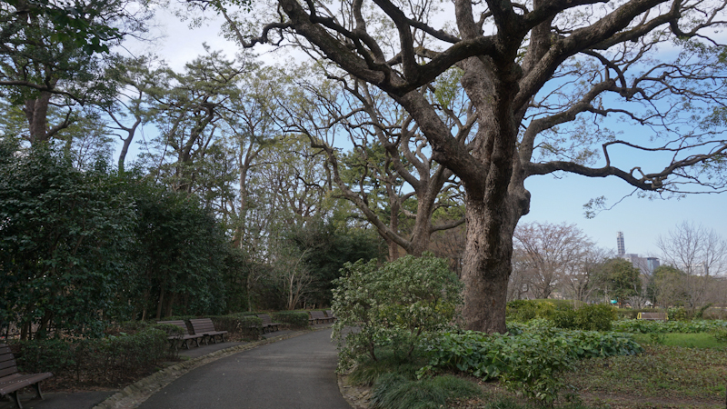 Tokyo Ostgarten des Kaiserpalastes