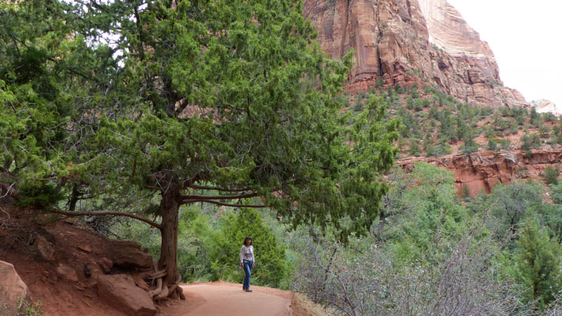 Zion Nationalpark