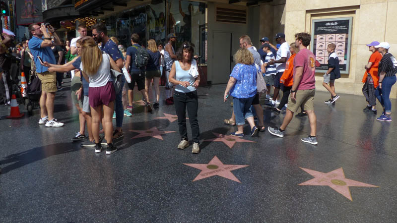 Hoolywood Walk of Frame